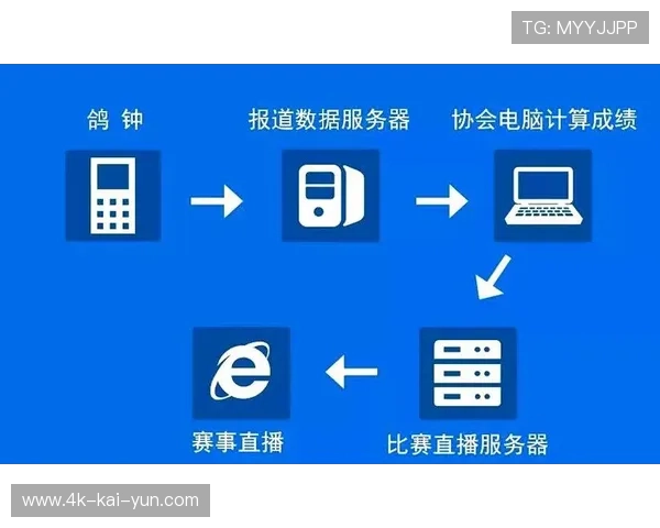 行业演进阶段小型赛事平台崛起，满足细分市场需求